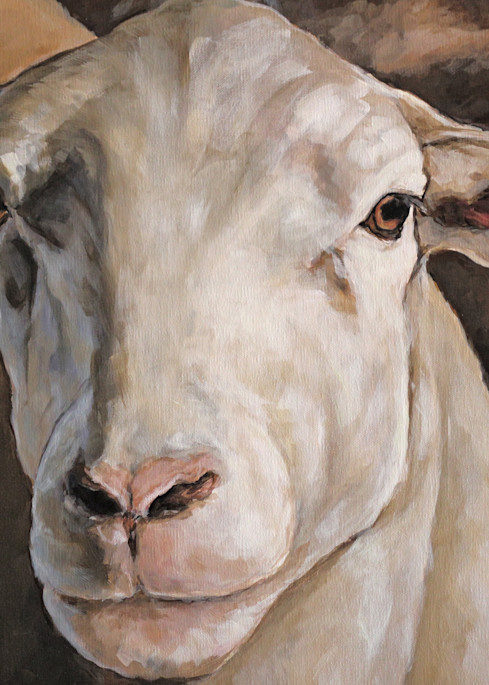 Ewes In The Paddock Detail Art | Joan Frimberger Fine Art