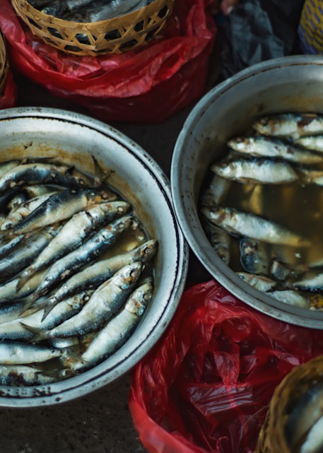 Fish Market, Ubud, Bali Photography Art | Photography's Dead