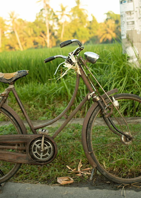 Bike, Ubud, Bali Photography Art | Photography's Dead