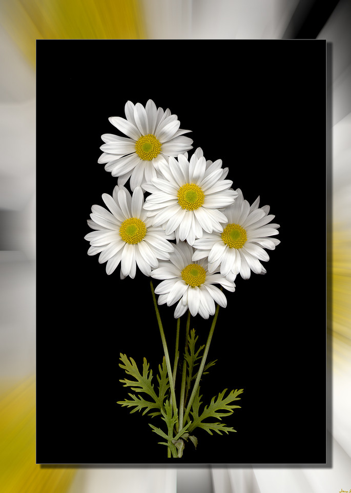 Nếu bạn đam mê nghệ thuật thì hãy xem hình vẽ hoa 3d này. Với màu sắc tươi sáng và hình dạng tự nhiên, các hoa trên bức tranh trông như thể chúng đang nở rộ ngay trước mắt bạn. Hãy tìm hiểu về kỹ thuật vẽ hoa 3d để bạn có thể thỏa sức sáng tạo trong tương lai.