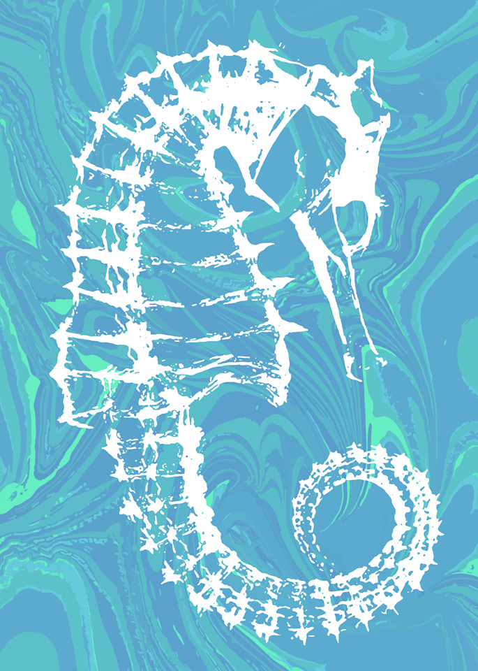 Seahorse X Ray No. 4 Art | Elena Lipkowski Fine Arts