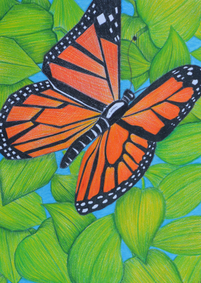 Geometric/Organic Butterfly Art | InspiringLee
