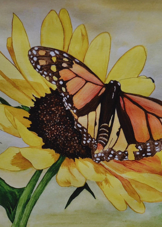 Butterfly On Sunflower Art | InspiringLee