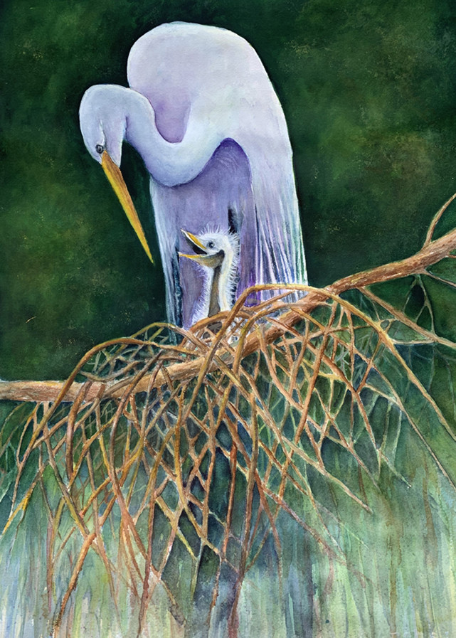 Heron‚ Baby, From an Original Watercolor Painting