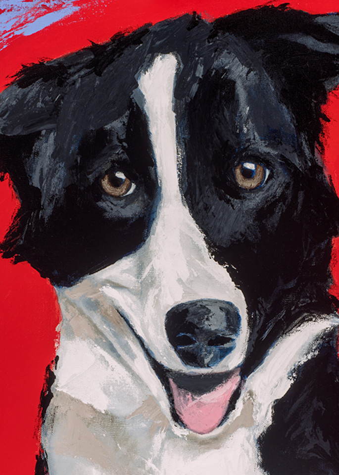 Border Collie Inspired Wall Art: Shop Prints by Tif Stout Fine Art
