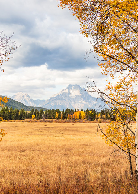 There's Gold In The Tetons Art | Don Peterson Photography