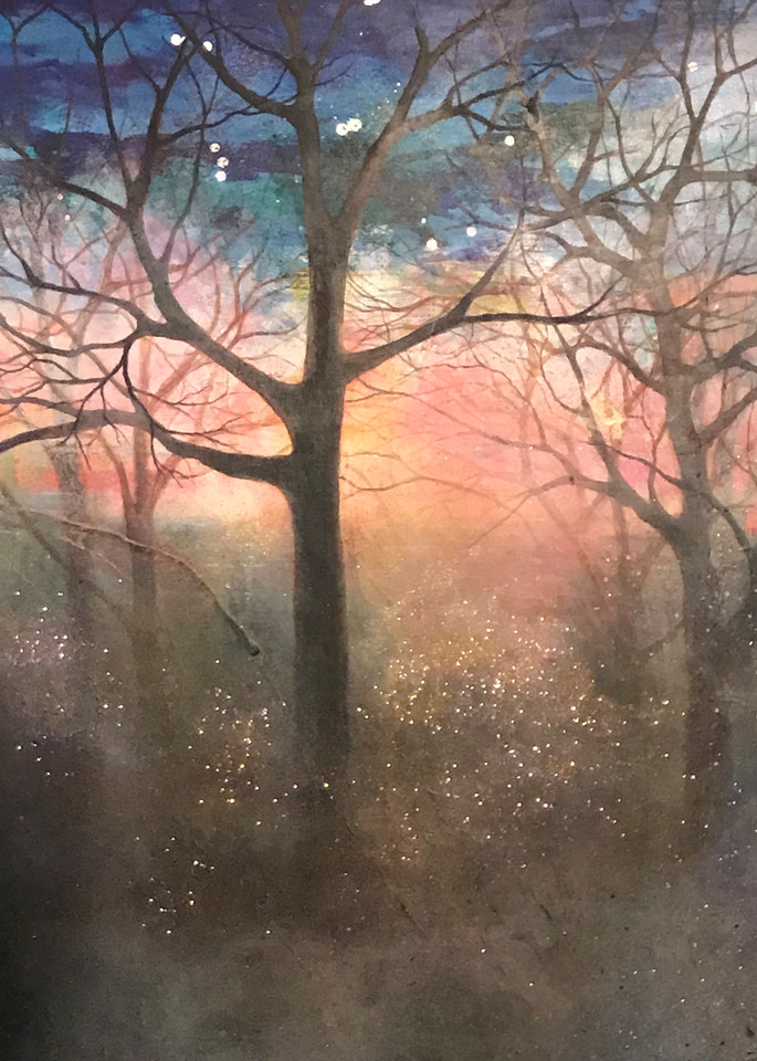 Wilderness Of Light Art | Cindy Bettinger