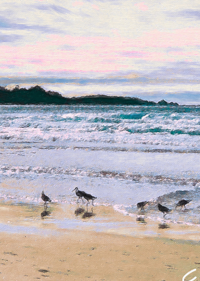 Sandpipers I Photography Art | Connie Villa Photography