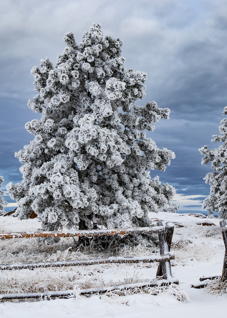 Nothing Like The First Snow Of The Season Art | Don Peterson Photography