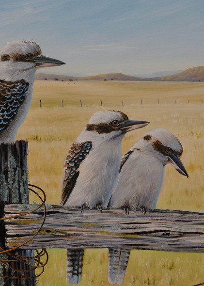 Grassland Gathering - Kookaburras