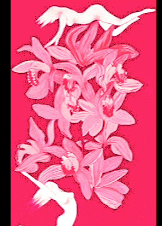 nudes floating flowers orchids photographic-prints, jackierobbinsstudio, PINK