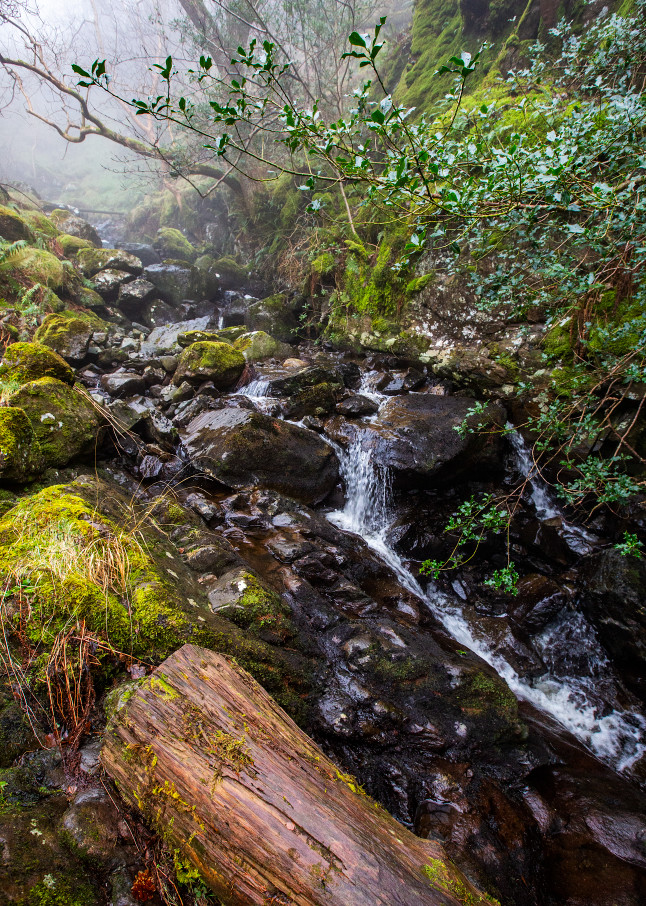 Stream Along Walla Crag Trail Photograph For Sale As Fine Art
