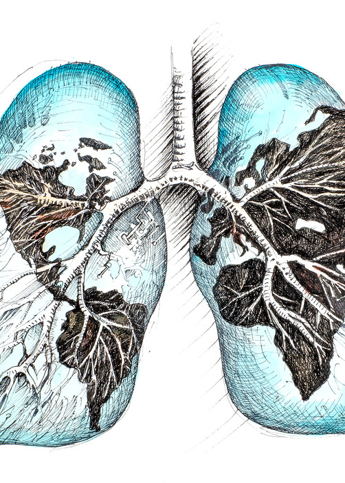 Lungs Of The World  Art | artemart