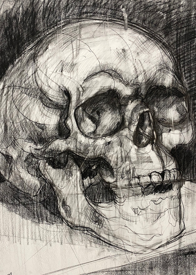 Skull V.4 Art | Matt Pierson Artworks