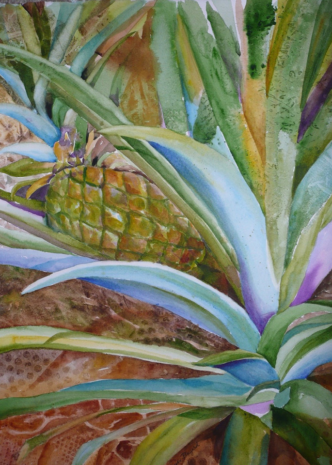 Baby Pineapple, From an Original Watercolor Painting