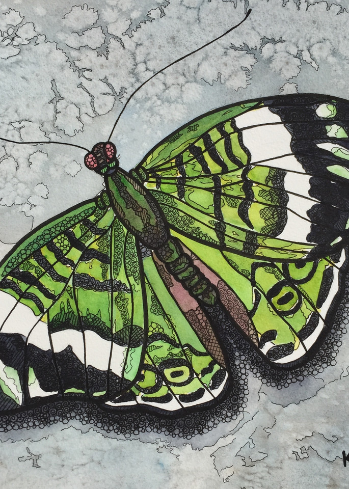 Emerald Butterfly Art | Water+Ink Studios