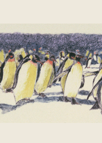 Rockhoppers Penguin Monotype