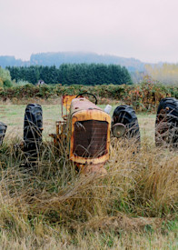 a panoramic view of tractors in fall