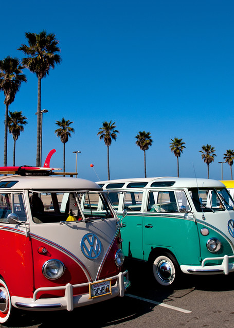 Volksvagen busses and southern california car show.