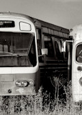an image of old retired city busses in northern california just made for a black and white panorama photo