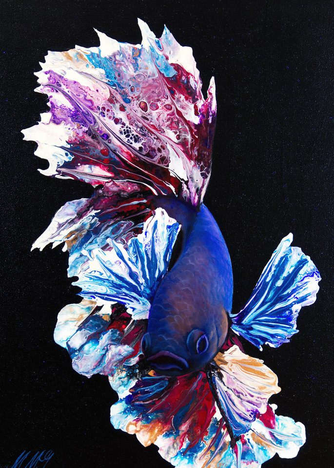 Bronco Betta Fish Art | MMG Art Studio | Fine Art Colorado Gallery
