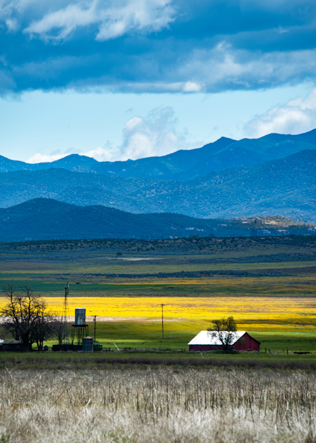 Ranch in Springtime is a fine art photograph of a barn surrounded by fields of yellow flowers available for sale.