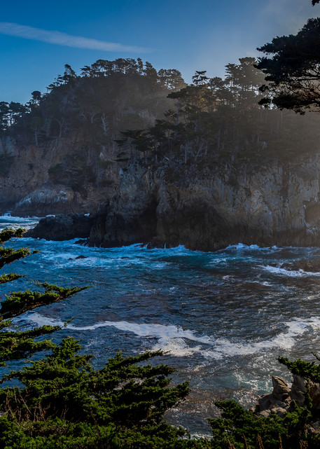 Point Lobos Photography Art | Connie Villa Photography