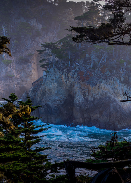 Morning Light At Point Lobos Photography Art | Connie Villa Photography