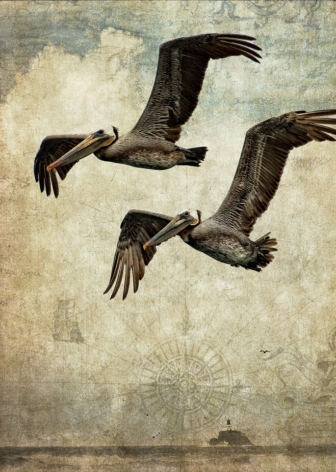 Pelicans in flight against a nautical background
