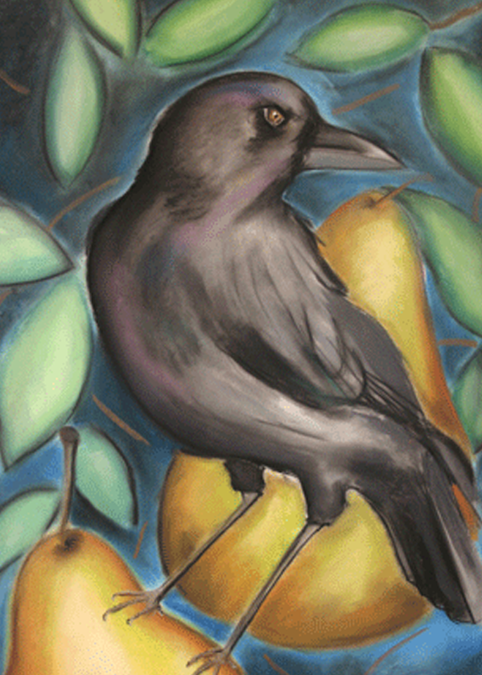 Crow in a Pear Tree