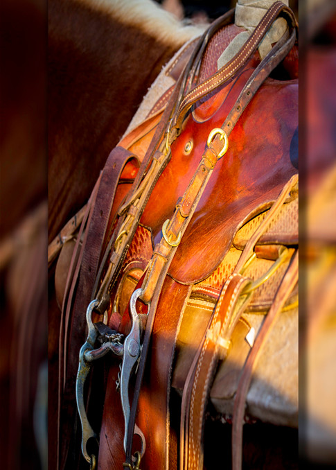 Horse Saddle Pano 3D  Photography Art | Whispering Impressions