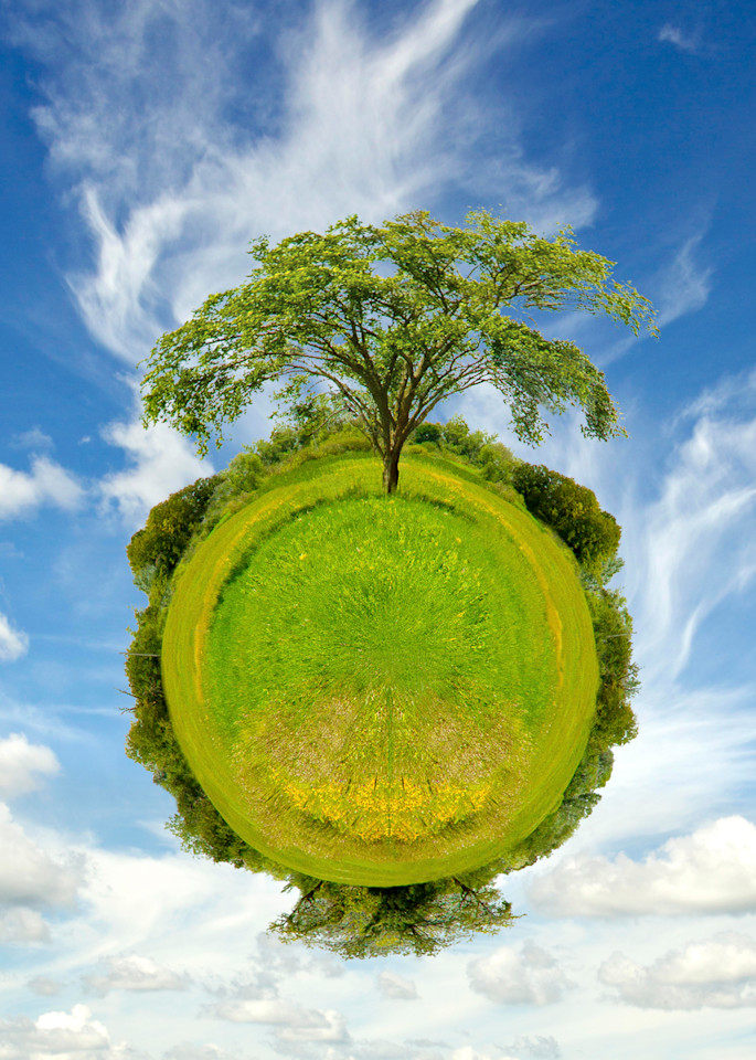 Tree Planet, Fine Art Photography by Laura Grisamore.