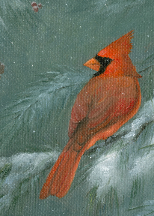red-cardinal, snowy-scene-cardinal