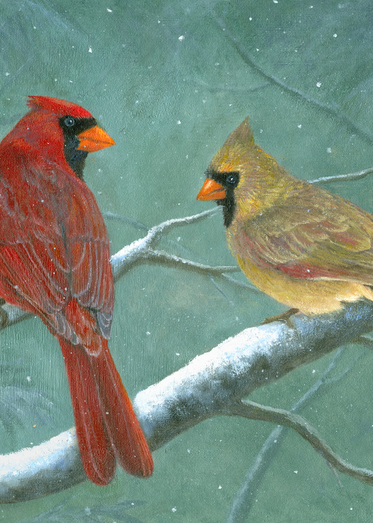 male-female-cardinals, 