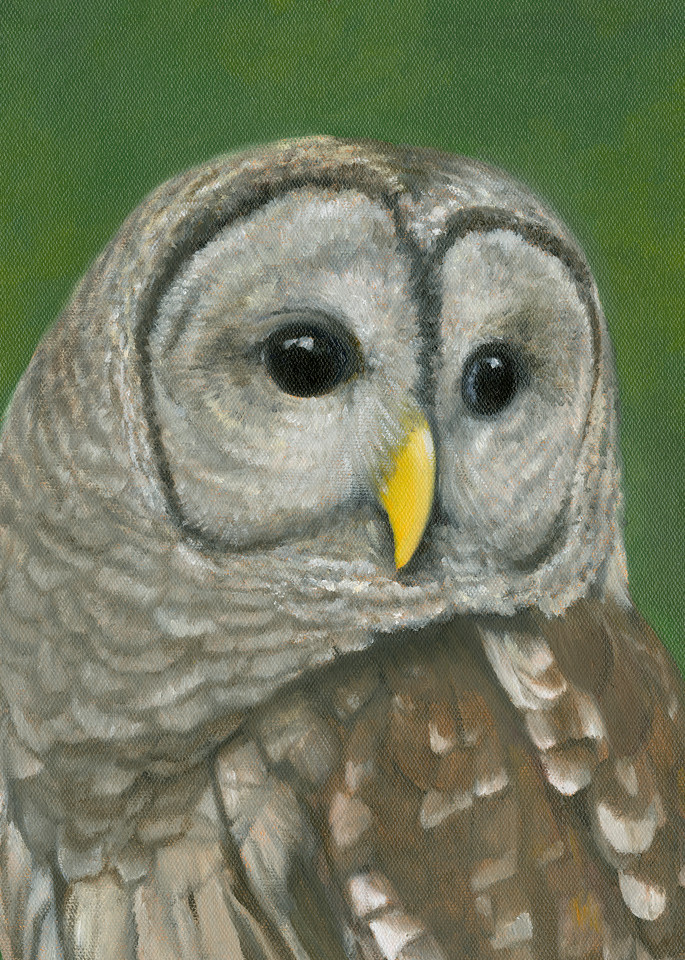 barred-owl, watchful-eyes, owl-painting