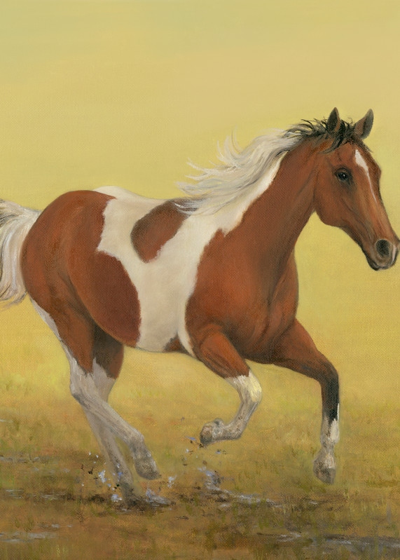 horse, horse-painting, horse-running