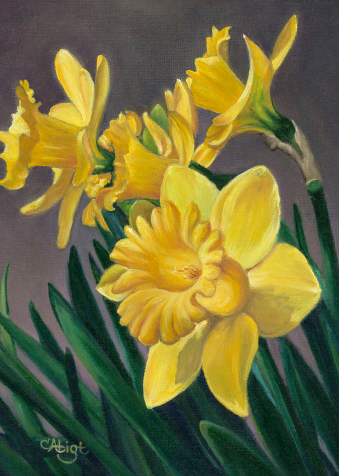 Daffodils Art | chrisabigtart