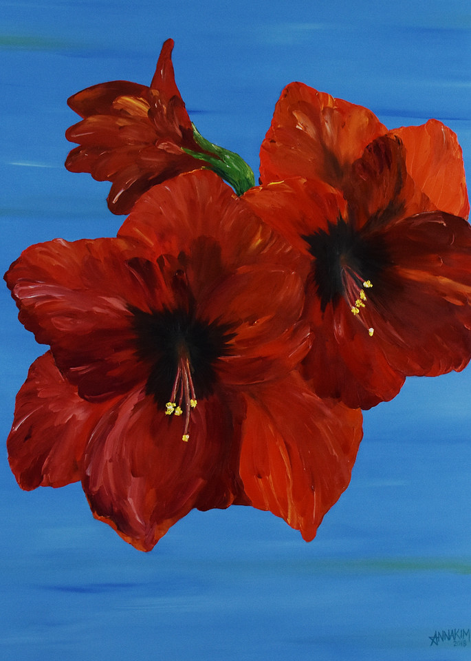 Amaryllis Flower Art Painting – Red Flower - Original Painting - Photo - Fine Art Prints on Canvas, Paper Metal and More