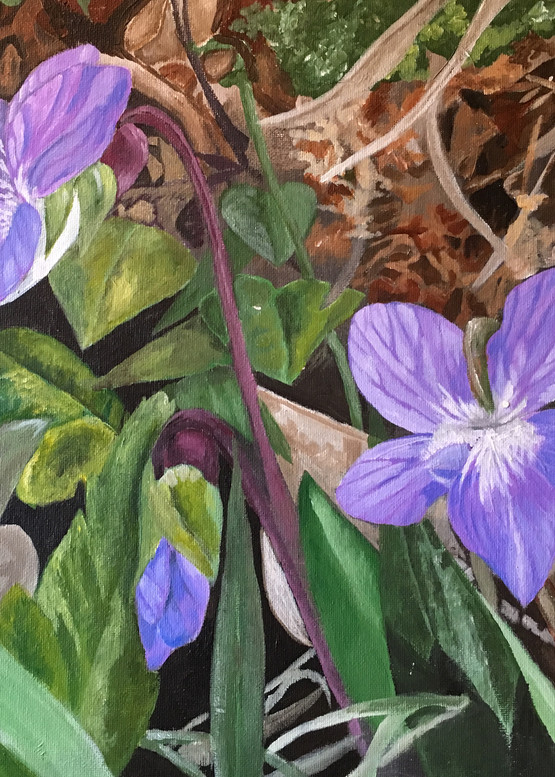 Purple Violets Art | Judy's Art Co.
