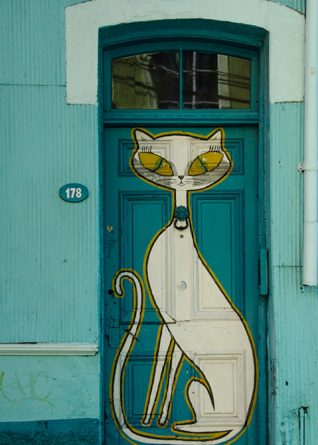 Cat door