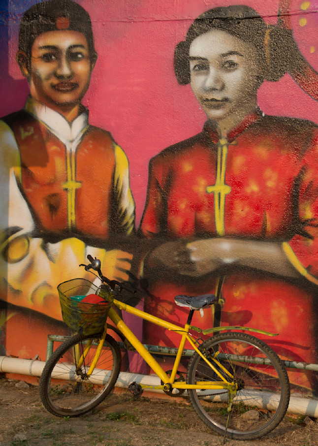 Mural bike