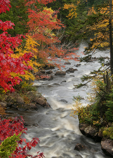 Lower Bog River - Adirondacks - Michael Sandy Photography