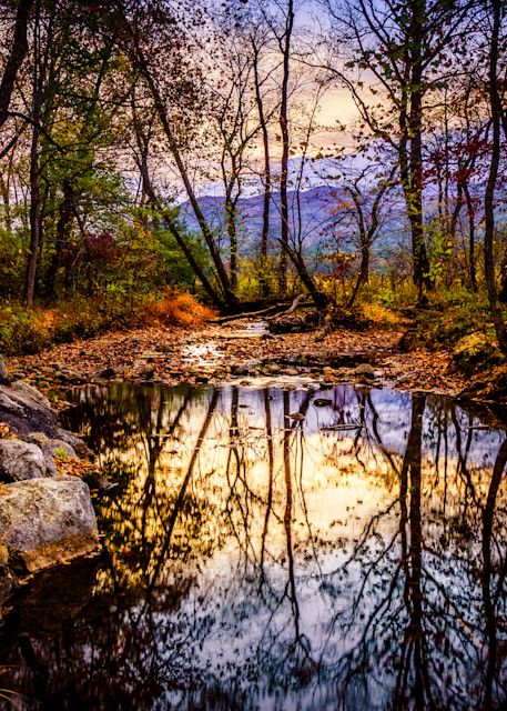Reflections Of Early Morning Photography Art | BRosenleaf Art