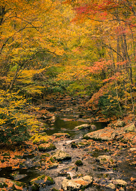 Smoky Mountain Autumn Photography Art | BRosenleaf Art