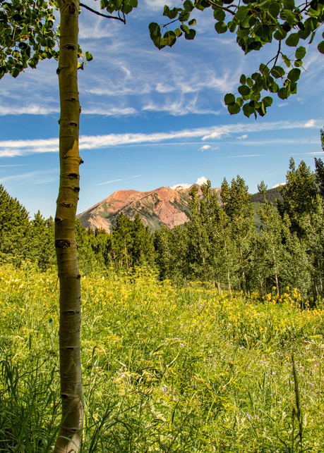 Aspen Mountains  6818 C S19  Photography Art | Koral Martin Healthcare Art