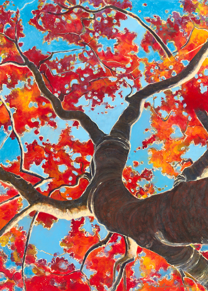 Red Oak Winter Art | Marilyn Rea Nasky Art