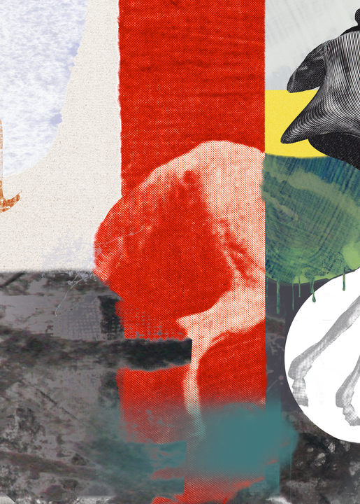 Buy Art Prints of Digital Collage Muybridge Running Horse 