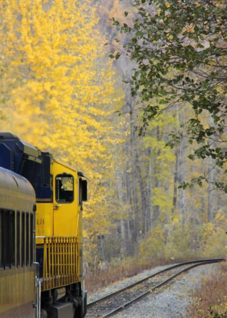 Alaska Railroad Fall Photography Art | Visionary Adventures, LLC