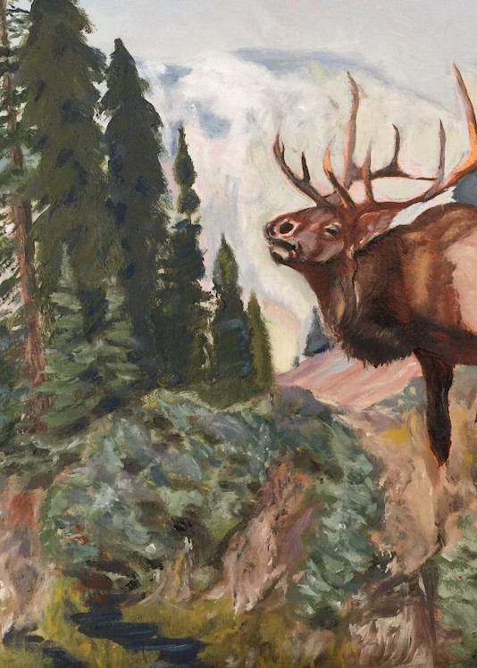 Elk Call  Art | Scott Dyer Fine Art