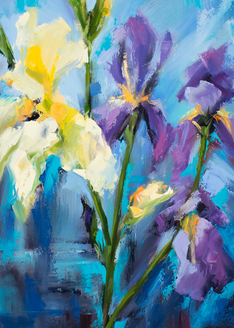 Irises fine art print | Sarah Pollock Studio